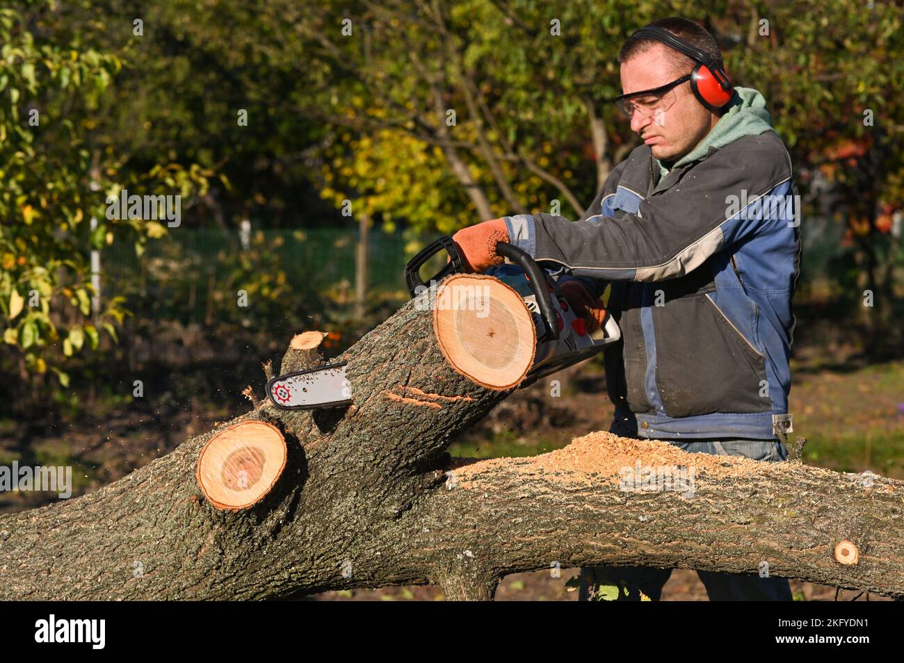 Ein Mann sägt Holz mit einer Kettensäge. Sägemehl fliegt in verschiedene Richtungen Stockfoto