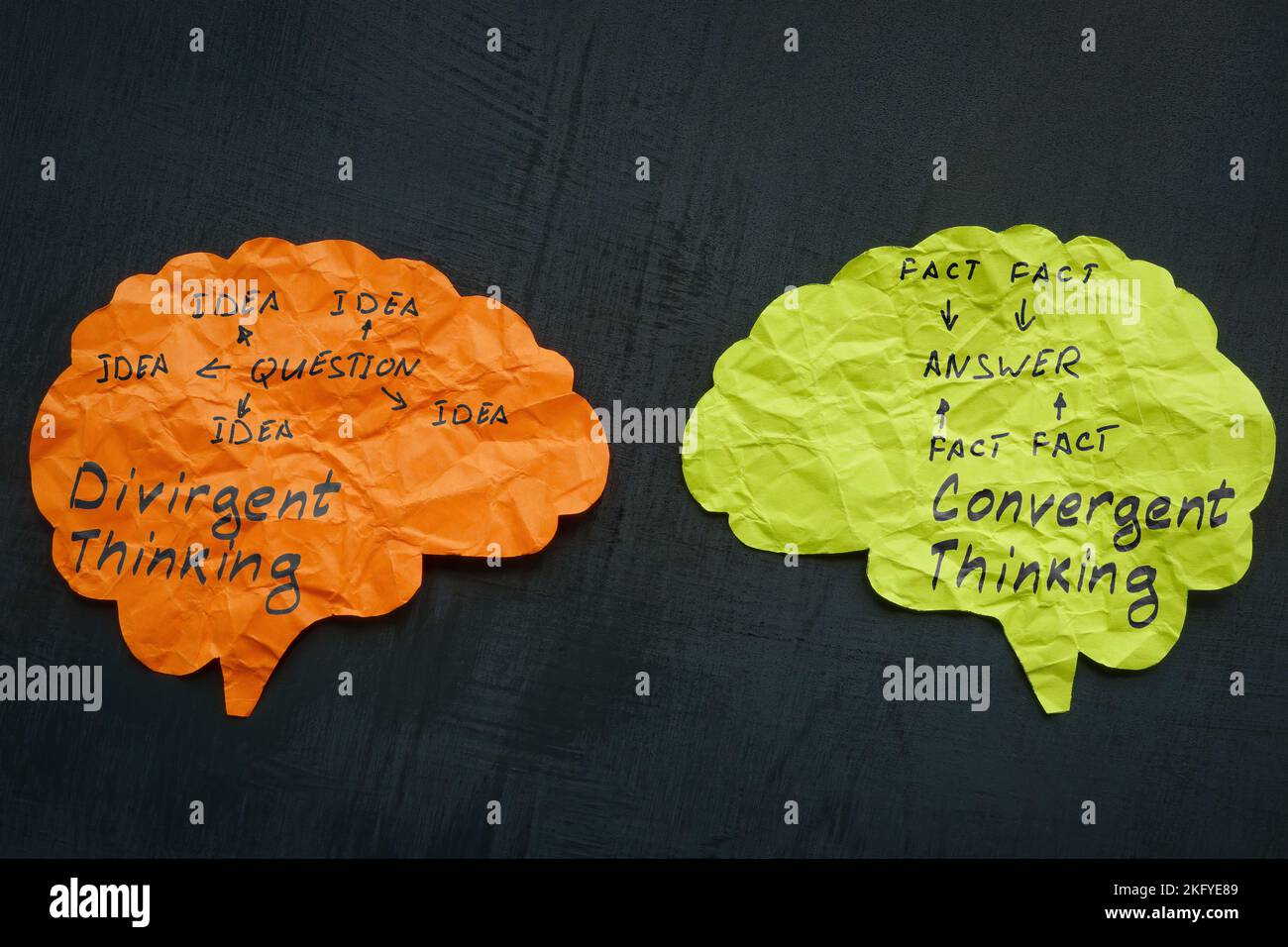 Papiergehirne mit divergierenden und konvergenten Phrasen. Stockfoto