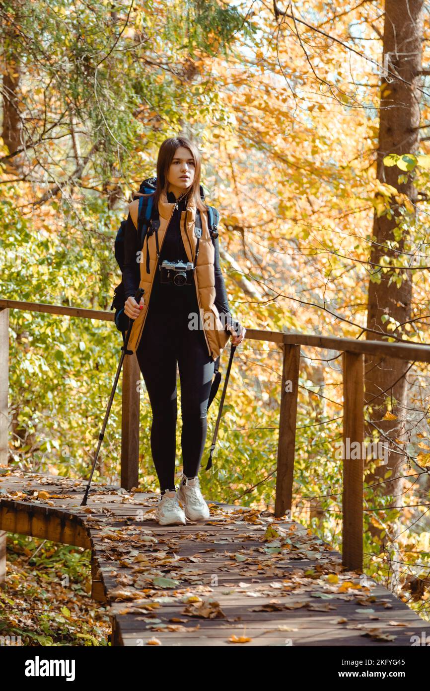 Wanderinnen im Wald mit Kamera, Rucksack und Nordic Walking Stöcken Stockfoto