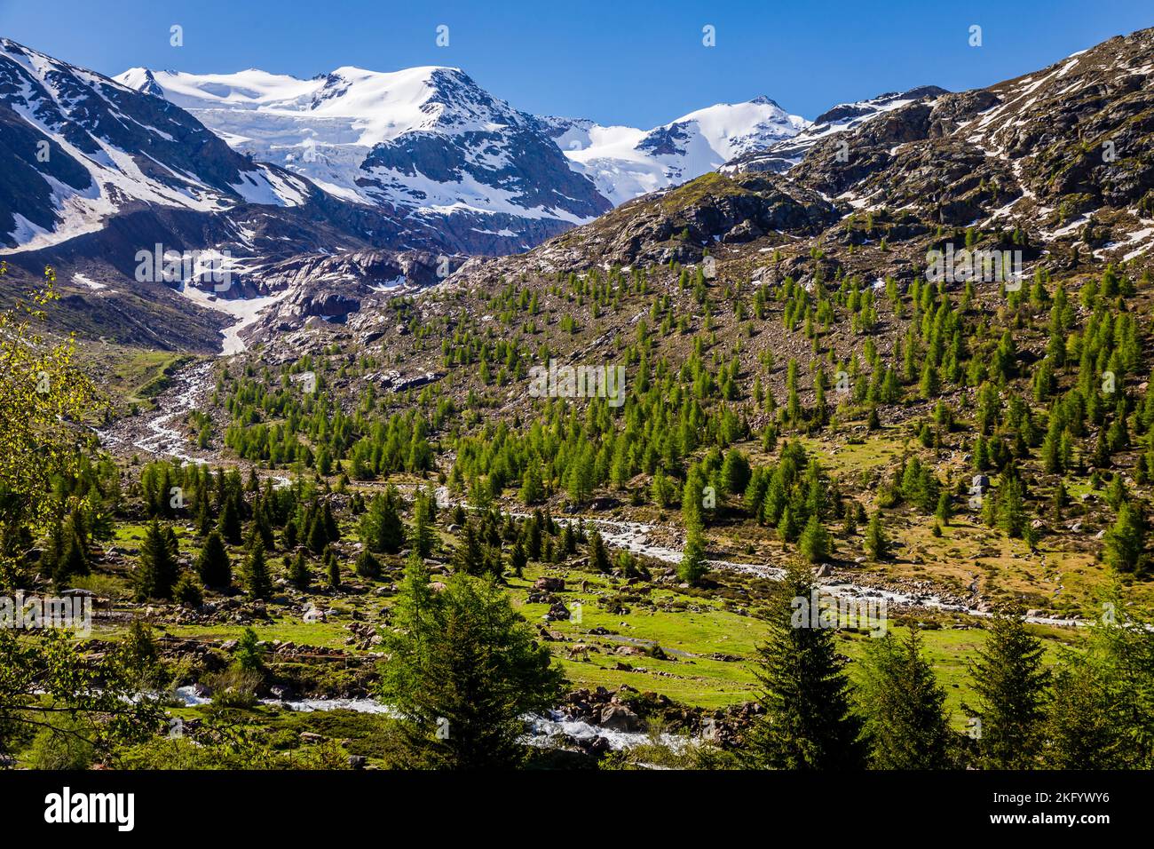 Gran Paradiso schneebedeckte Berglandschaft: Italienische alpen in Norditalien Stockfoto