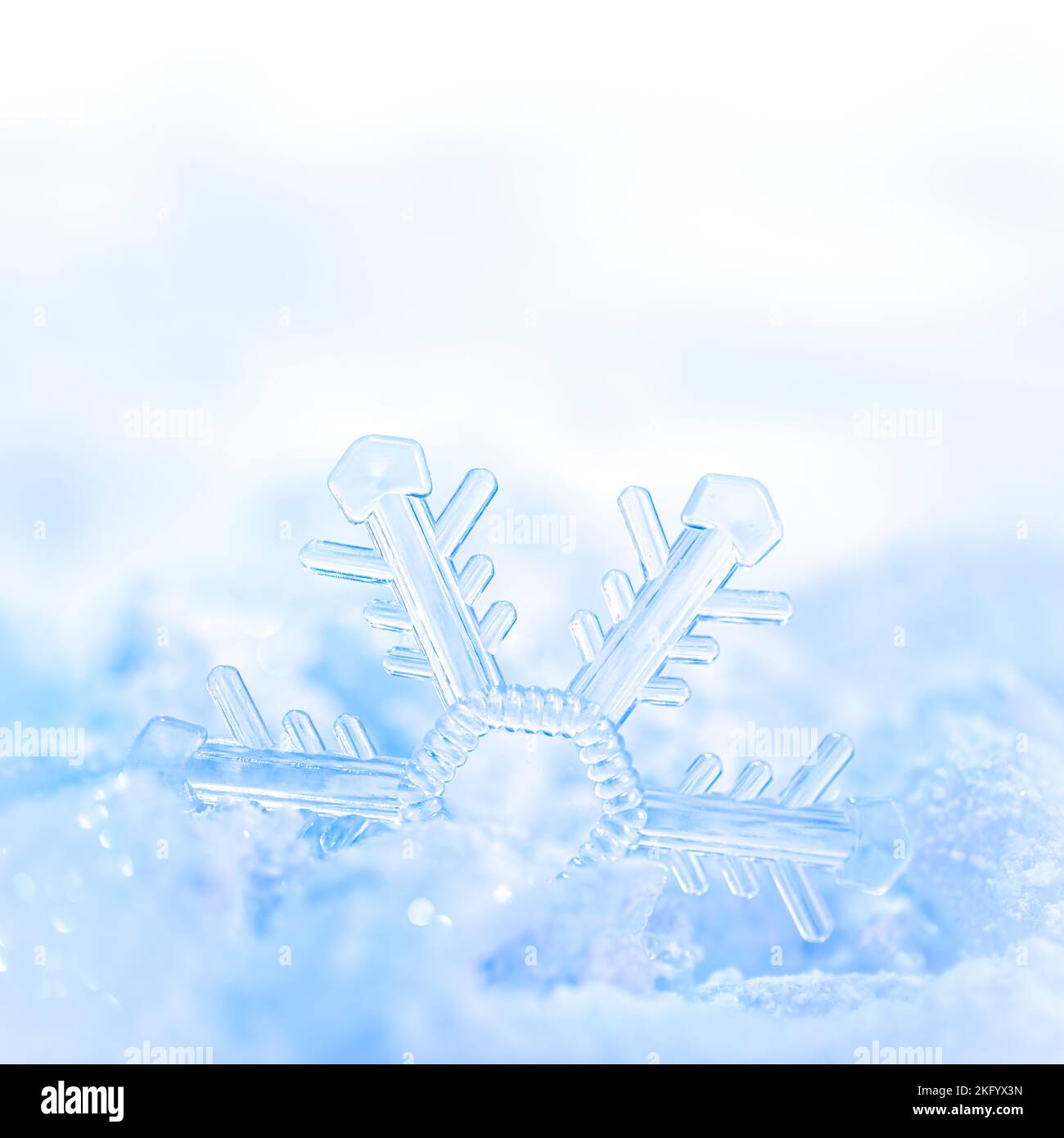 Zarte Schneeflocke im hellen Winterschnee. Stockfoto