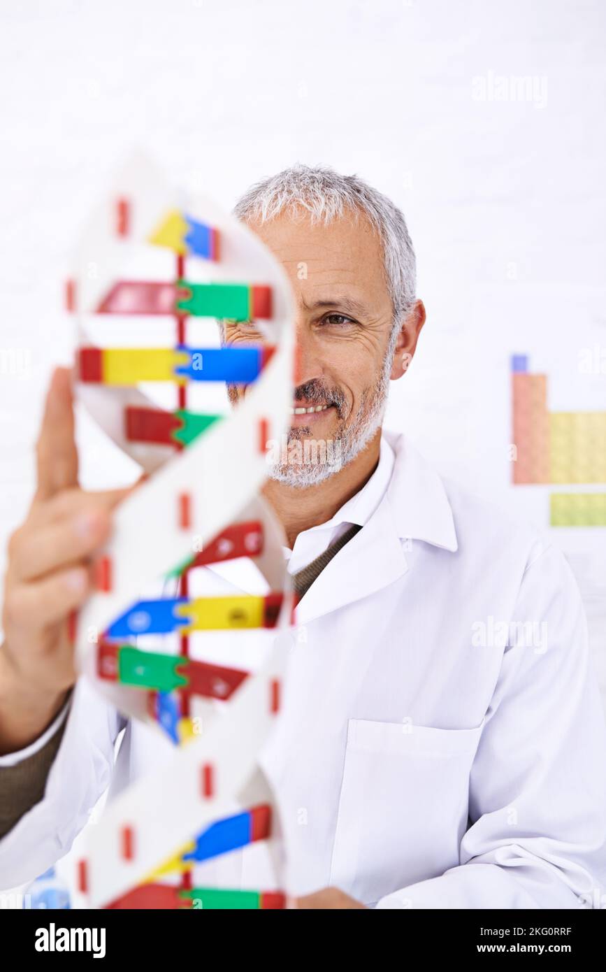 Die Doppelhelix... seine Lieblingsform. Ein reifer Wissenschaftler, der ein Modell eines DNA-Moleküls betrachtet. Stockfoto