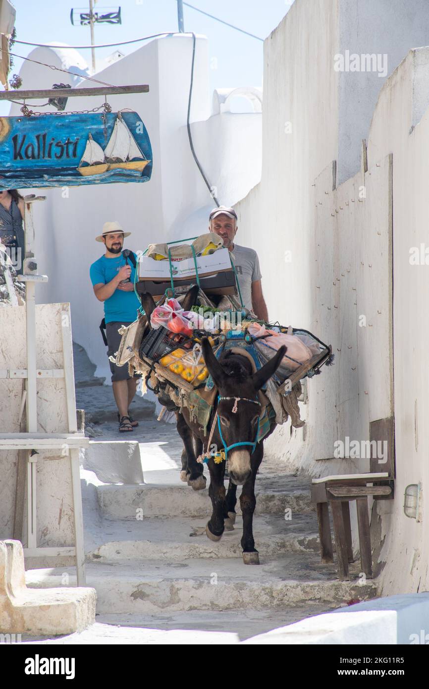 Pyrgos Santorini Griechenland -26. September 2022: Einheimischer Mann mit Esel liefert Stockfoto