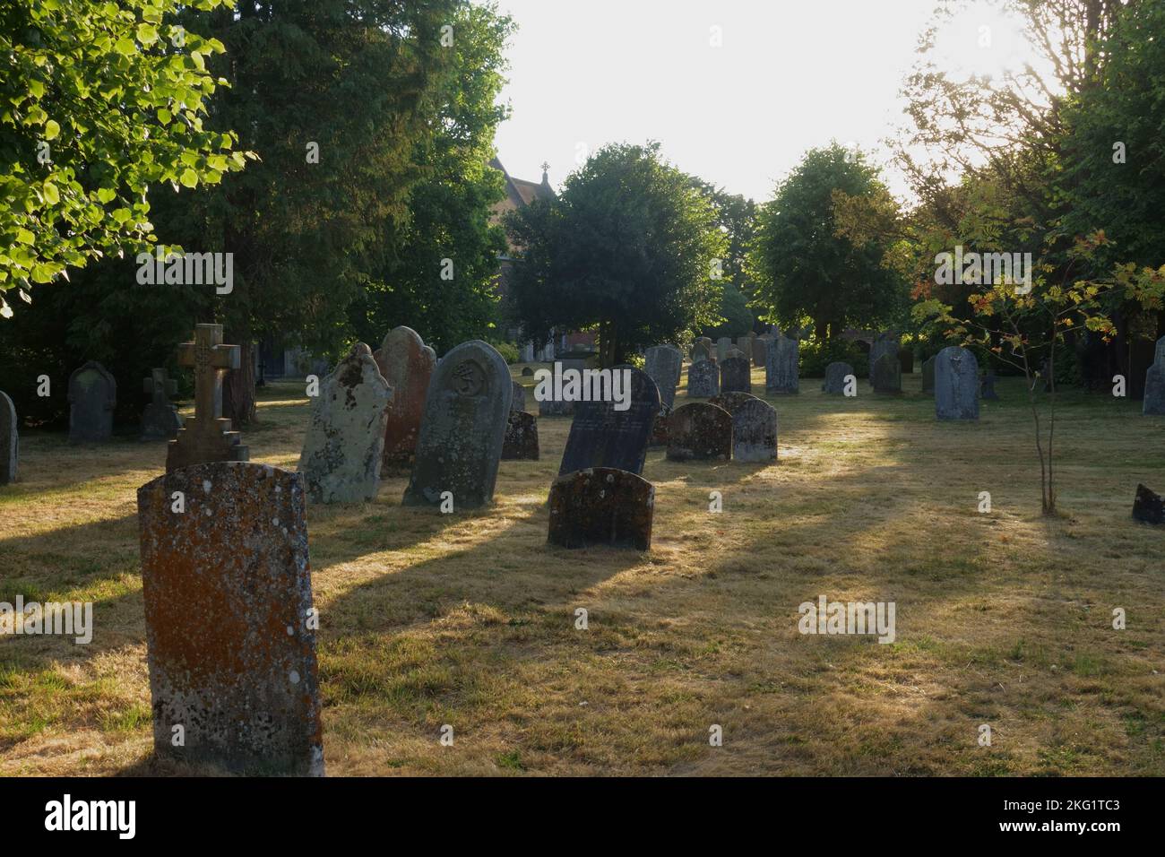 Alte Grabsteine in einem ländlichen Kirchhof mit alten Bäumen, Limetten und Eibenbäumen im frühen Morgenlicht. Kintbury, St. Mary's Church, in der Nähe von Hungerford, in der Nähe von Barkshire Stockfoto