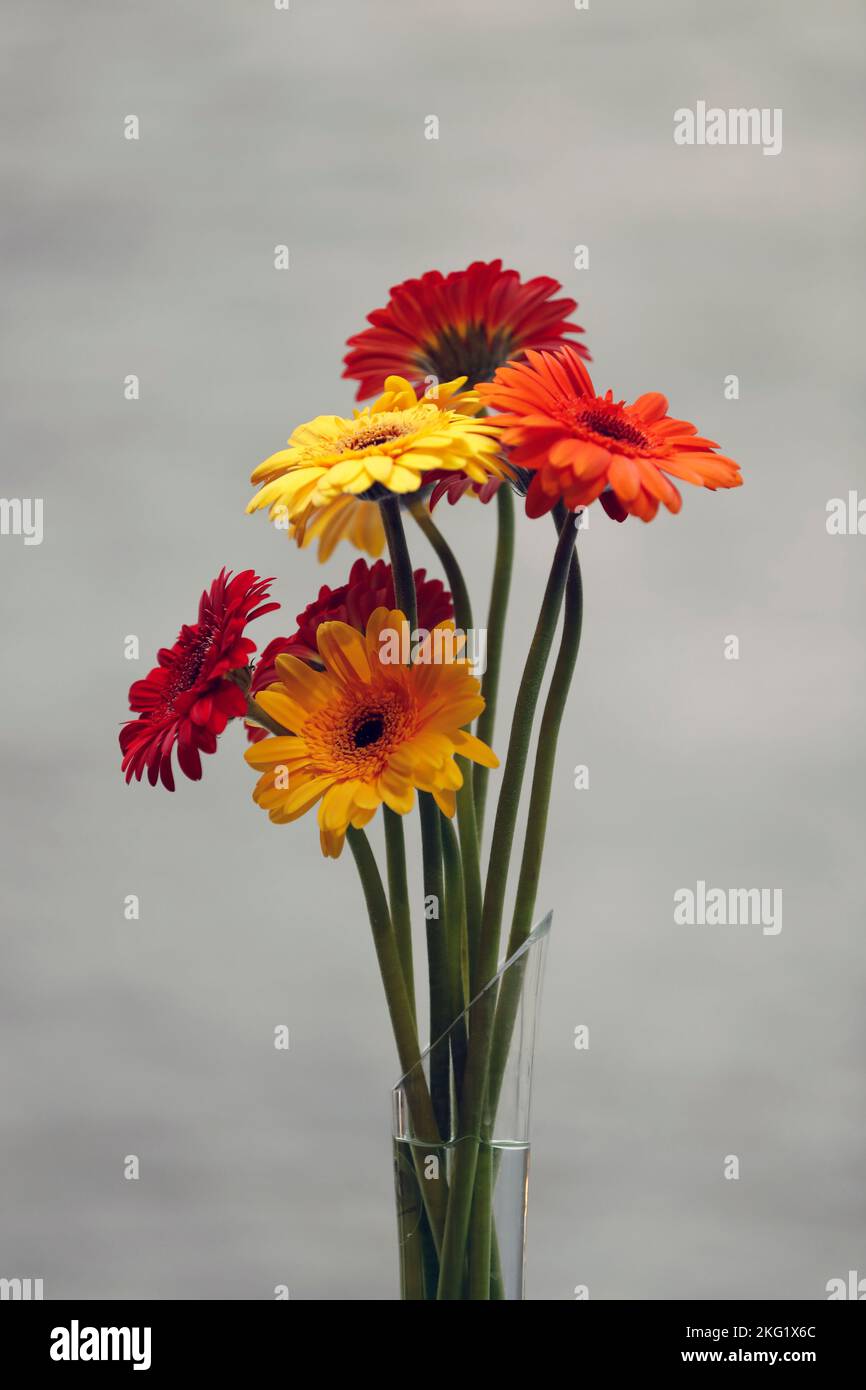 Blumen Dekoration in einer Kirche. Schweiz. Stockfoto