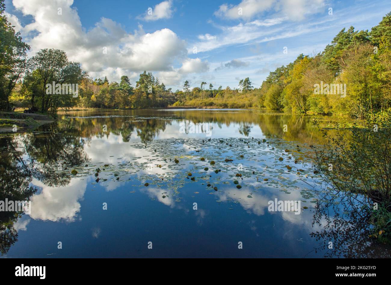 Schönes Licht und Wolken - Hensol Lake in einem Teil des Hensol Forest im Vale of Glamorgan South Wales in diesem Oktober Stockfoto