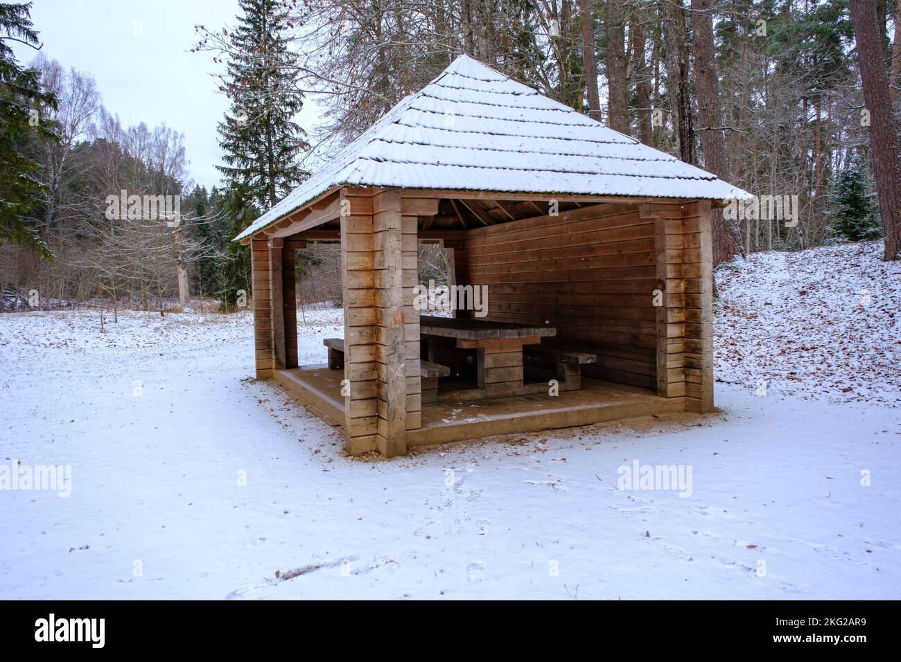 Es gibt ein Holzgrill Haus im Wald, ein gepflegtes Erholungsgebiet. Schöne Landschaft, PinienwaldSkanaiskalnas Naturpark im November in Stockfoto