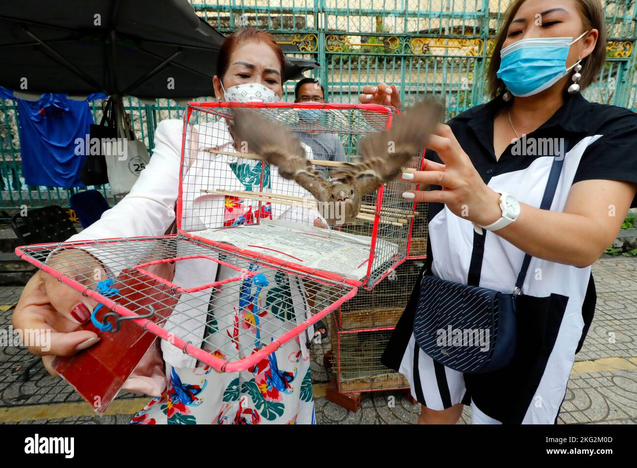 Ba Thien Hau Chinesischer Tempel. Buddhisten glauben, dass das Zurücklassen von Vögeln in die Wildnis einem Individuum helfen kann, Verdienste zu sammeln. Ho Chi Monh Stadt. Viet Stockfoto