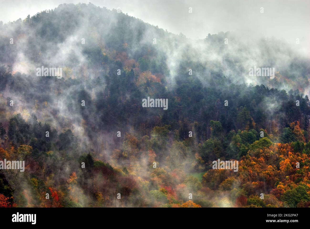 Im Herbst neblige Landschaft mit bunten gemischten Wäldern. Früher bewölkter Morgen. Vrsatec, Slowakei. Stockfoto