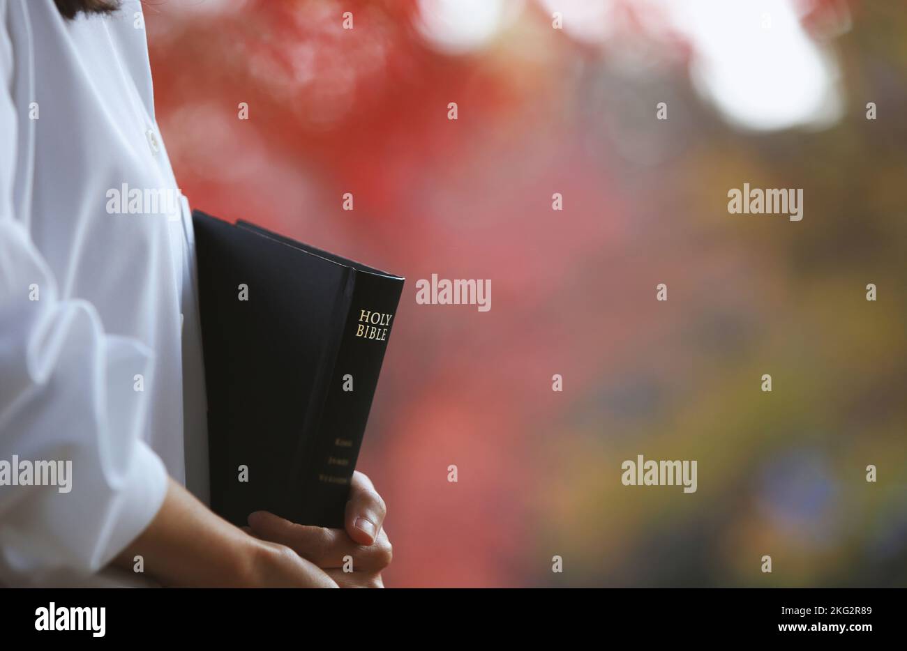 Ein Christ, der die Heilige Bibel hält und das Evangelium von Jesus Christus predigt, und eine herbstliche Straßenszene mit roten Blättern Stockfoto
