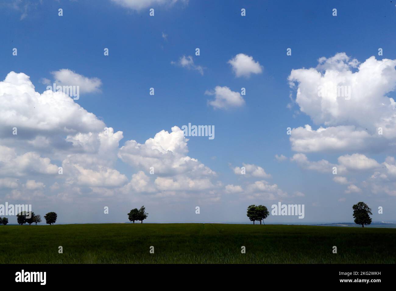 Französische Landseite. Landschaft. Baumreihe, blauer Himmel und Wolken. Stockfoto