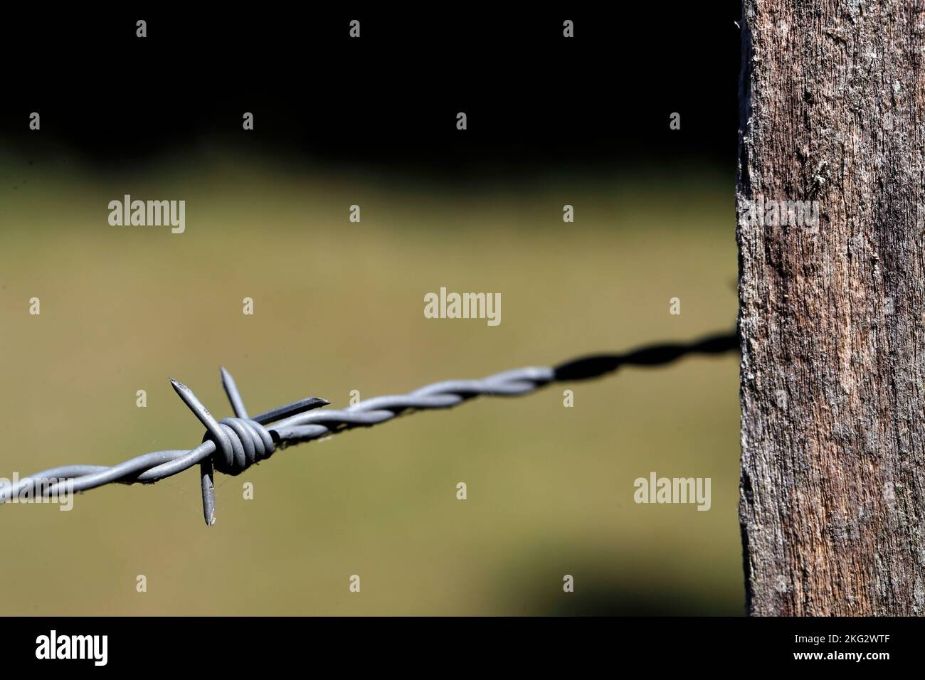 Stacheldrahtzaun in einem Feld. Landwirtschaft und Landwirtschaft. Stockfoto