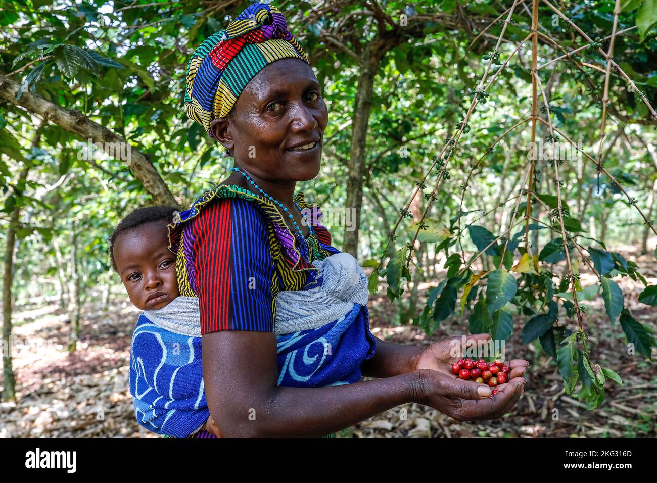 Kopakama-Kaffeeanbaugenossenschaft, Rutsiro, Ruanda. Mutter hält Kirschen in der Frauenhandlung Stockfoto