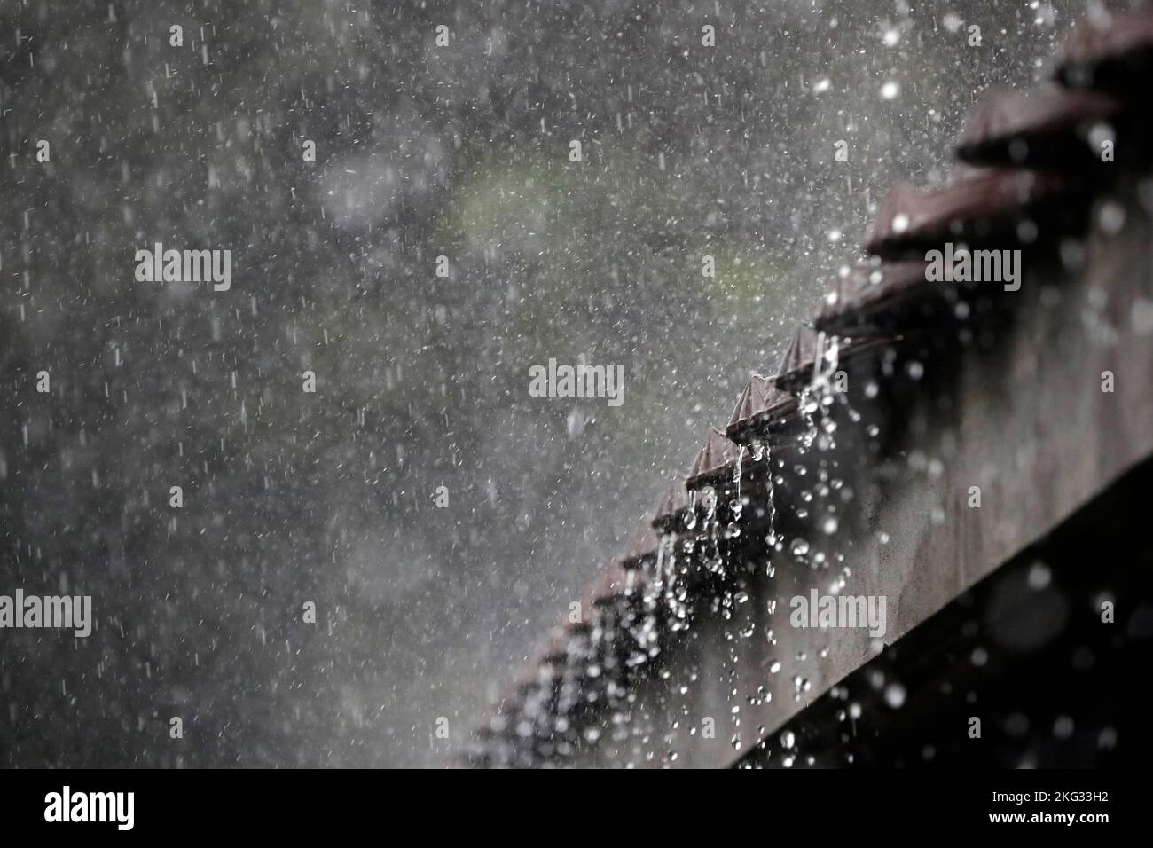 Regen fällt während des Monsuns über das Dach. Regentag und Regenzeit in Asien. Uong Bi. Vietnam. Stockfoto