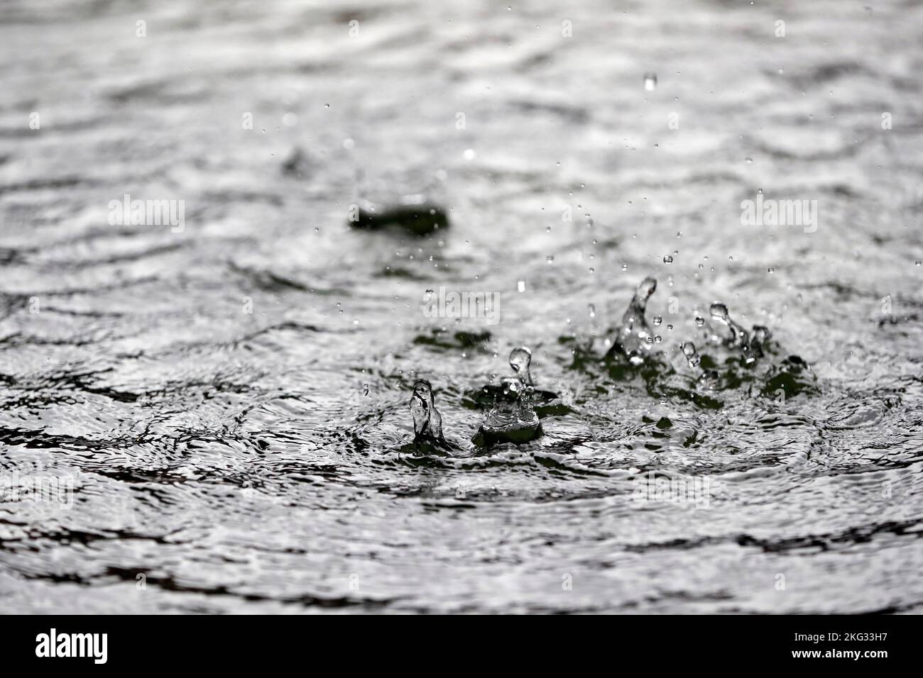 Wasseroberfläche mit Regentropfen an Regentagen. Monsun und Regenzeit. Uong Bi. Vietnam. Stockfoto