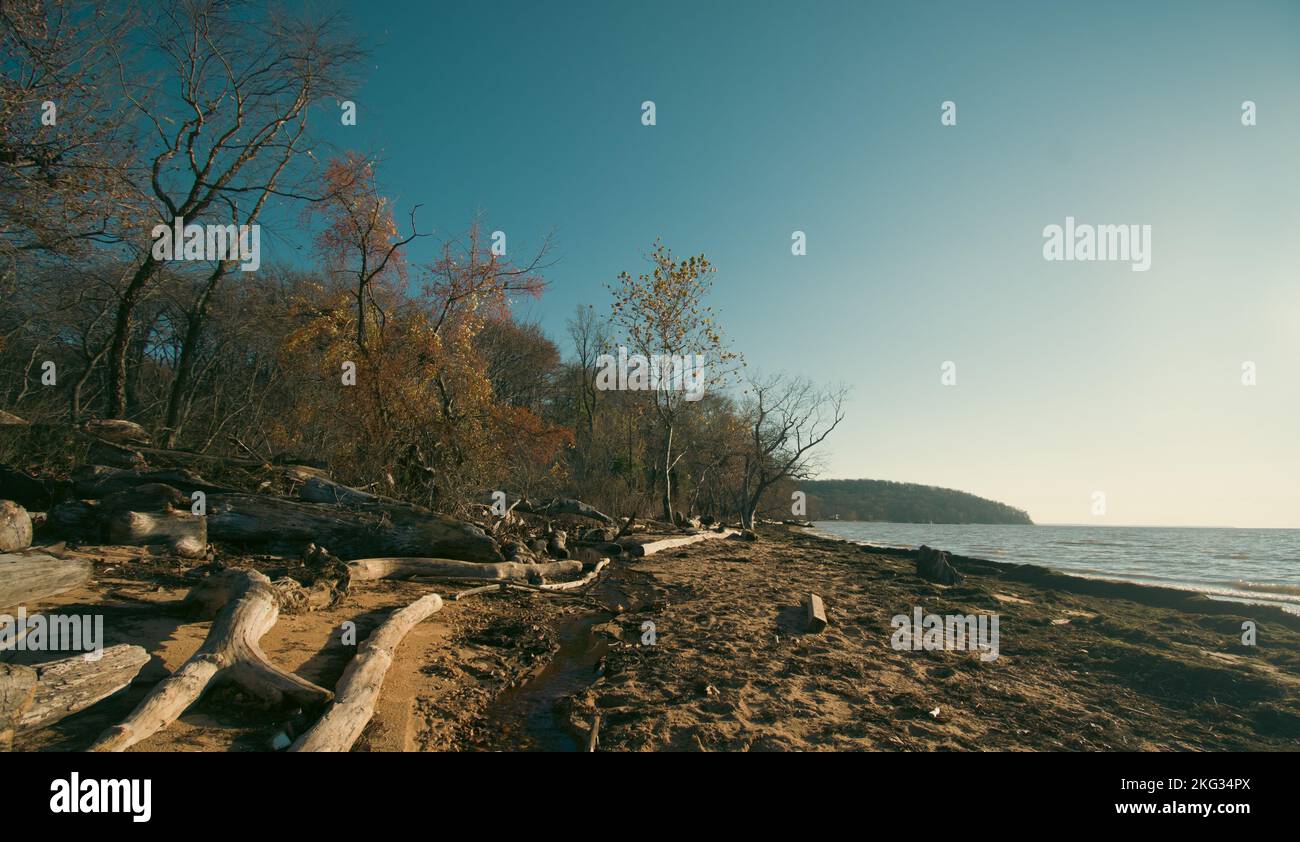 Chesapeake Bay Küstenlinie Maryland im Herbst Stockfoto