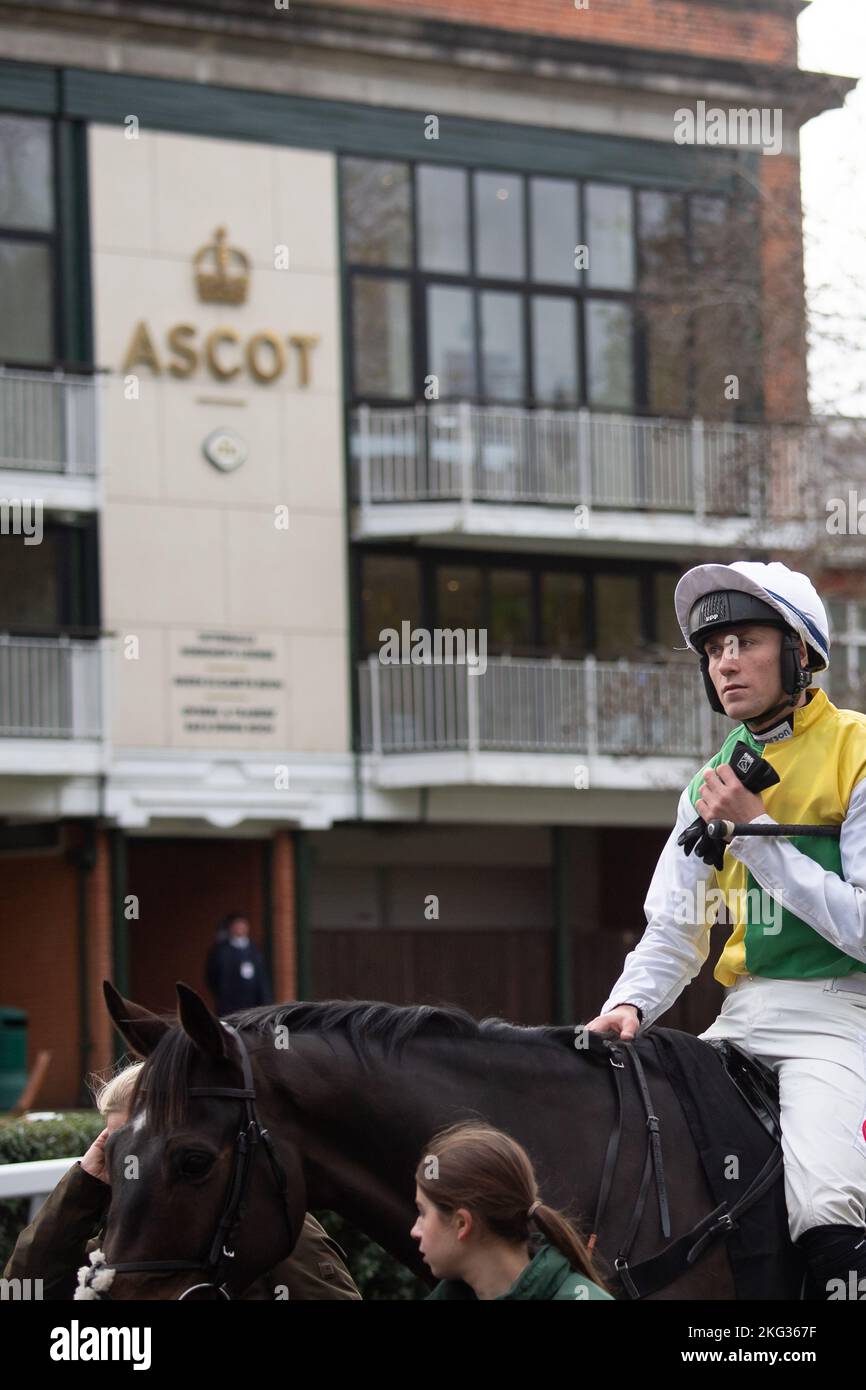 Ascot, Bergen, Großbritannien. 19.. November 2022. Jockey Lorcan Williams Gewinner des Ebony Horse Club Novice's Limited Handicap Steeple Chase auf Pferd Milan Bridge, trainiert von Paul Nicholls, der der einzige Läufer war, da die anderen vier Pferde aufgrund der Bodenbedingungen nach dem Einfluss der Sommerhitze zurückgezogen wurden. Jockey Lorcan musste nur einen Walkover über die Ziellinie machen, um zum Sieger gekrönt zu werden. Der letzte Walkover in Ascot war vor 39 Jahren, am 19.. November 1983, als Pferd Rosa Ruler in der Handicap-Hürde des Snow Hill über die Ziellinie lief. Quelle: Maureen McLean/Alamy Stockfoto