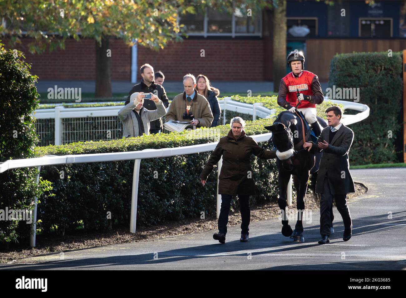 Ascot, Bergen, Großbritannien. 19.. November 2022. Das Pferd Saint Calvados, das von Jockey David Maxwell geritten wird, begibt sich auf die Rennstrecke für die Chanelle Pharma 1965 Steeple Chase. Es gab nur zwei Pferde im Rennen, da drei Pferde aufgrund der Bodenverhältnisse zurückgezogen wurden. Quelle: Maureen McLean/Alamy Stockfoto