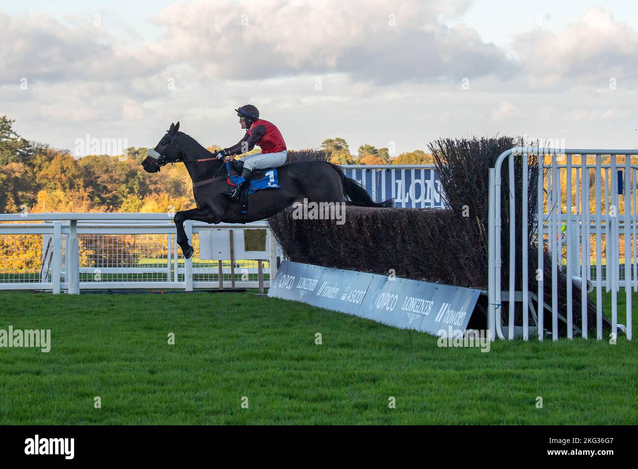 Ascot, Bergen, Großbritannien. 19.. November 2022. Horse Saint Calvados unter Jockey David Maxwell springt auf der ersten Rennstrecke in der Chanelle Pharma 1965 Kirchturm Chase. Es gab nur zwei Pferde im Rennen, da drei Pferde aufgrund der Bodenverhältnisse zurückgezogen wurden. Quelle: Maureen McLean/Alamy Stockfoto