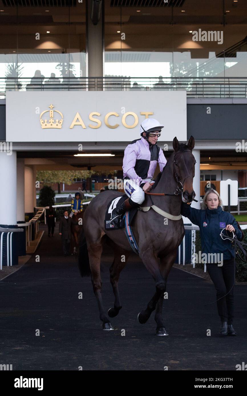 Ascot, Bergen, Großbritannien. 19.. November 2022. Das Pferd Hermino, das von Jockey Jamie Moore geritten wird, geht auf die Rennstrecke, bevor es beim Paddock Ownership Day Series Open National Hunt Flat Race auf der Ascot Racecourse den zweiten Platz erreicht. Quelle: Maureen McLean/Alamy Stockfoto