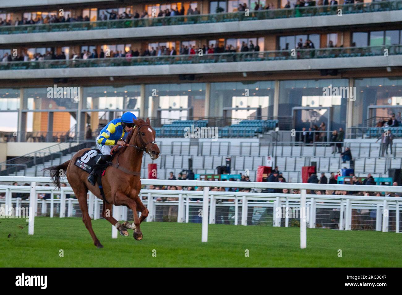 Ascot, Bergen, Großbritannien. 19.. November 2022. Horse Thames Water mit Jockey A P Heskin gewinnt das Paddock Ownership Day Series Open National Hunt Flat Race auf der Ascot Racecourse. Besitzer McNeill Familie und Frau C. Murphy. Trainer Paul Nicholls, Ditcheat. Züchter Michael und Ciara Carty. Sponsor Von Ultima Business Solutions. Quelle: Maureen McLean/Alamy Stockfoto