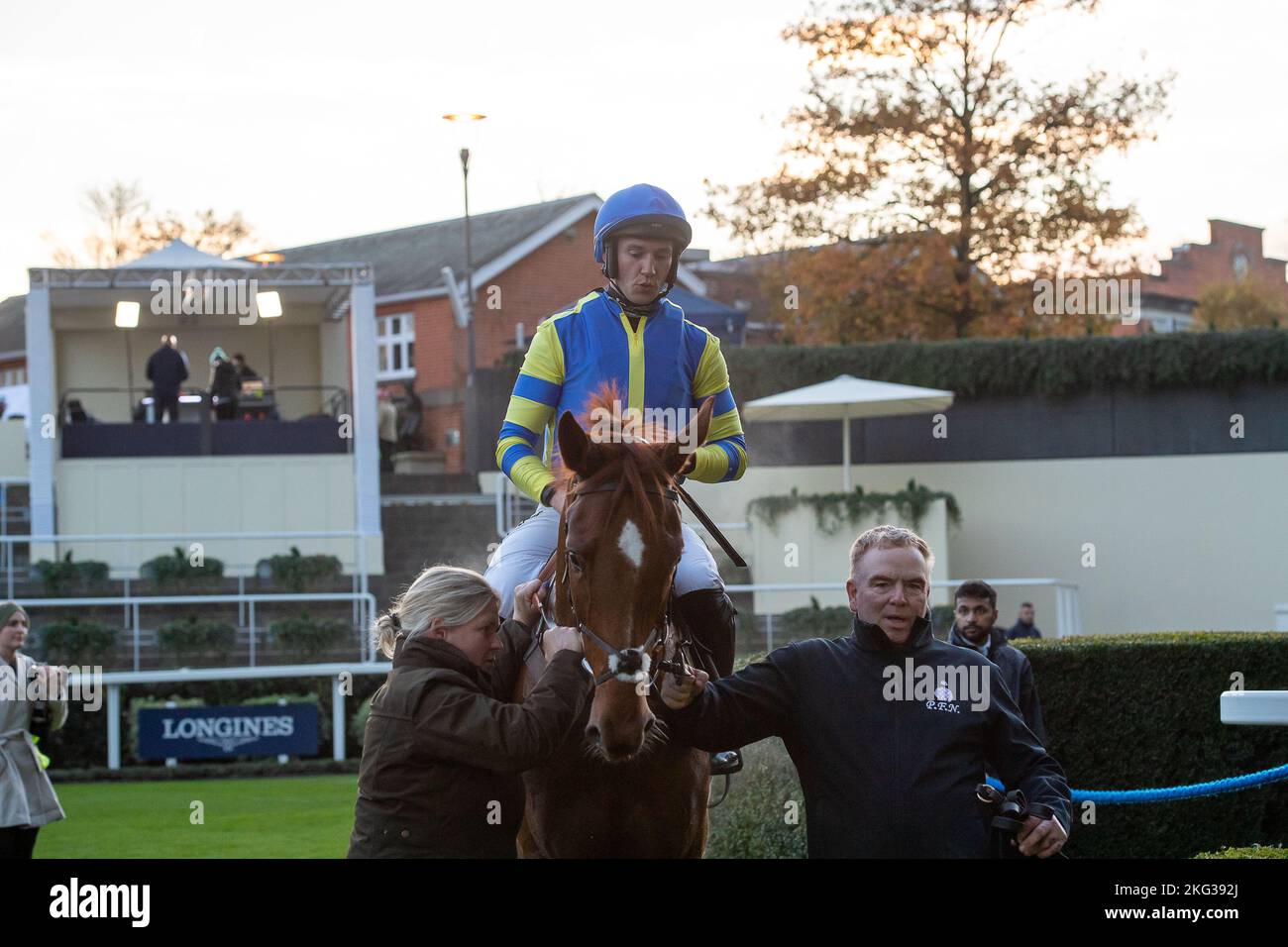 Ascot, Bergen, Großbritannien. 19.. November 2022. Horse Thames Water mit Jockey A P Heskin gewinnt das Paddock Ownership Day Series Open National Hunt Flat Race auf der Ascot Racecourse. Besitzer McNeill Familie und Frau C. Murphy. Trainer Paul Nicholls, Ditcheat. Züchter Michael und Ciara Carty. Sponsor Von Ultima Business Solutions. Quelle: Maureen McLean/Alamy Stockfoto