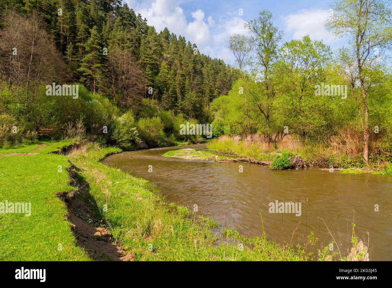 Fluss Hornad in der Nähe von Tomasovsky im Hornad-Tal im Nationalpark Slowakisches Paradies, Slowakei Stockfoto