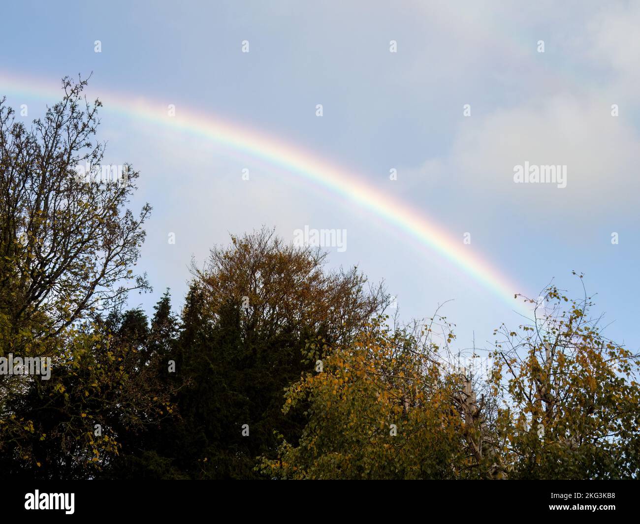 Herbstregenbogen über Hecke, Großbritannien. Stockfoto