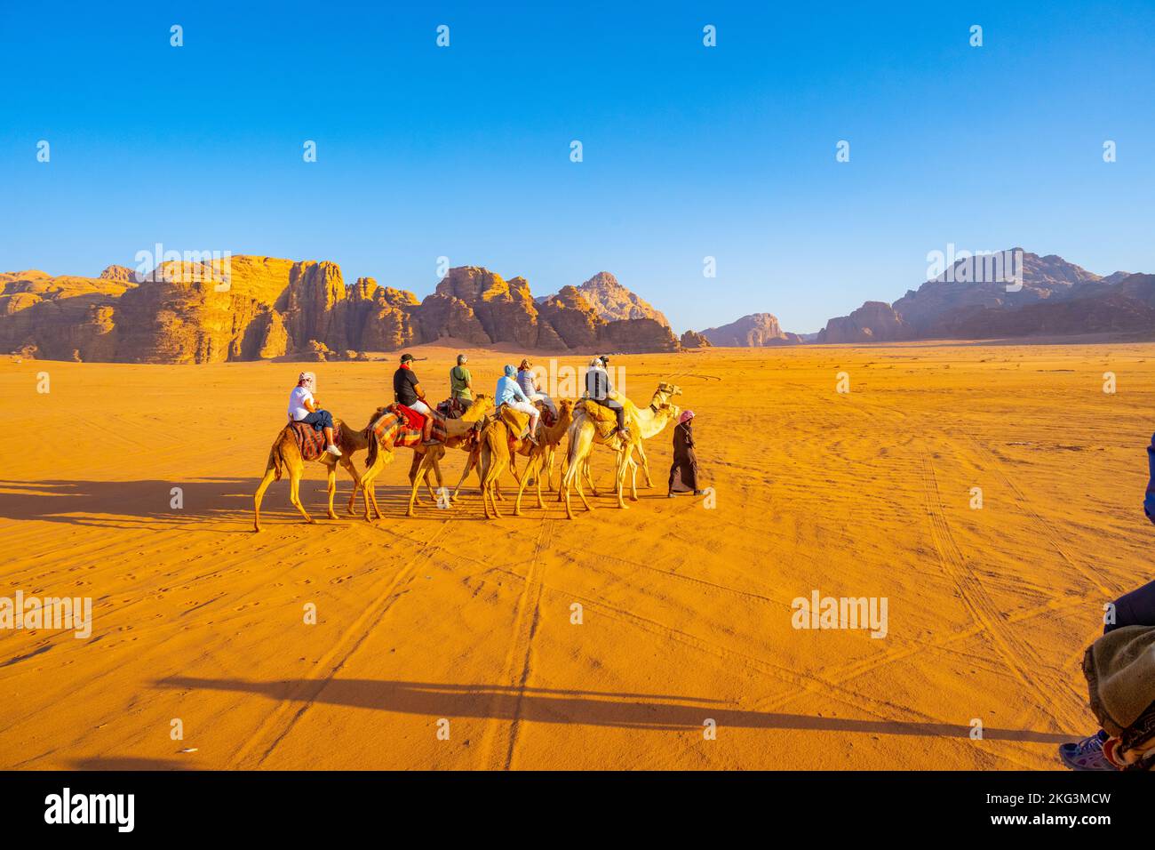 Touristen auf einem abendlichen Kamelpfad auf dem Sand des Wadi Rum Jordan Stockfoto