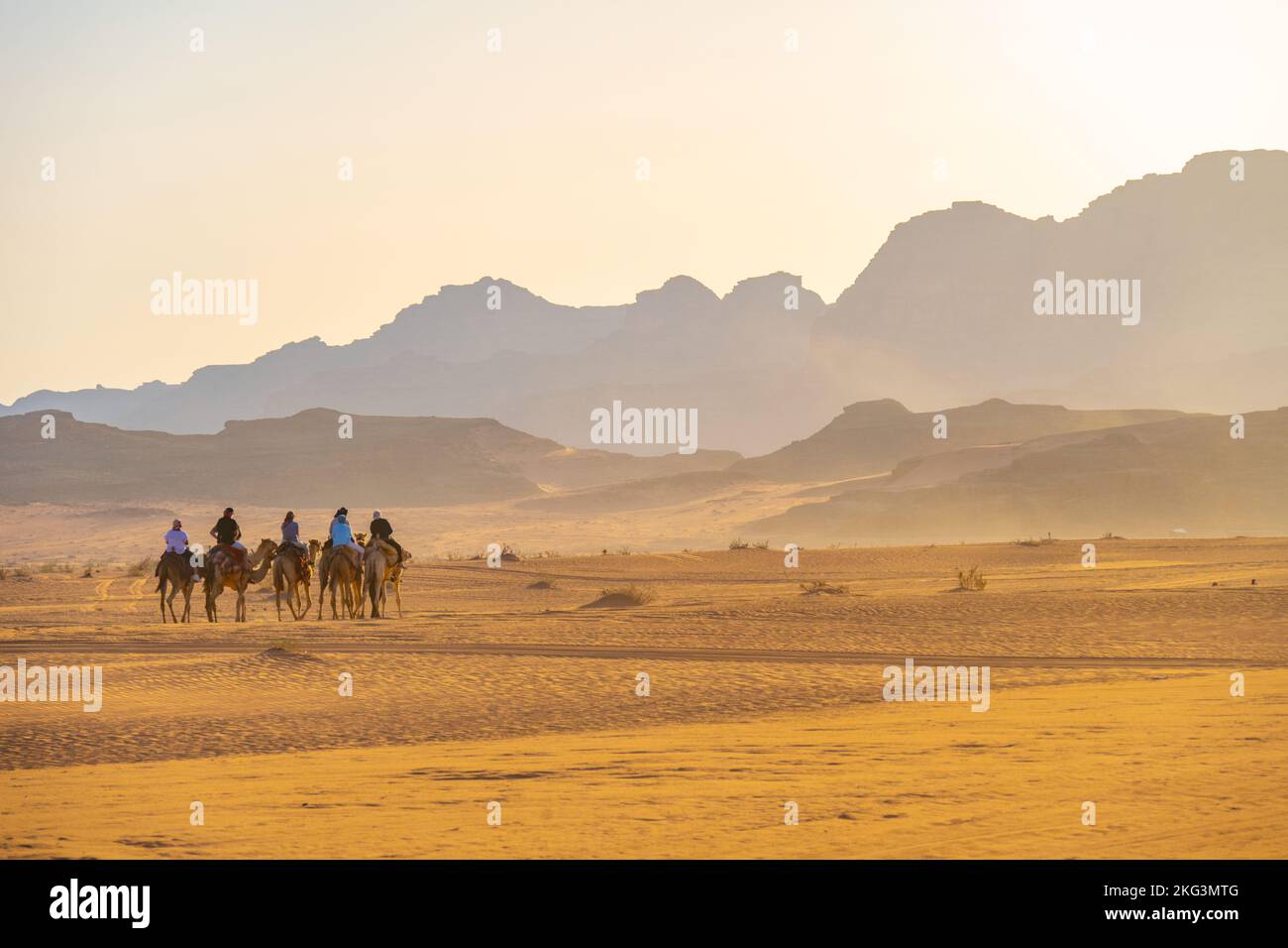 Touristen auf einem abendlichen Kamelpfad auf dem Sand des Wadi Rum Jordan Stockfoto