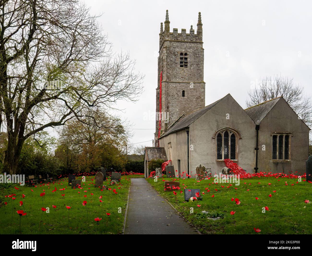 DOWLAND VILLAGE, DEVON, ENGLAND - NOVEMBER 16. 2022: Gedenkfeier vor der Kirche in Mitte von Devon, Großbritannien. Mohnblumen auf dem Kirchhof. Stockfoto