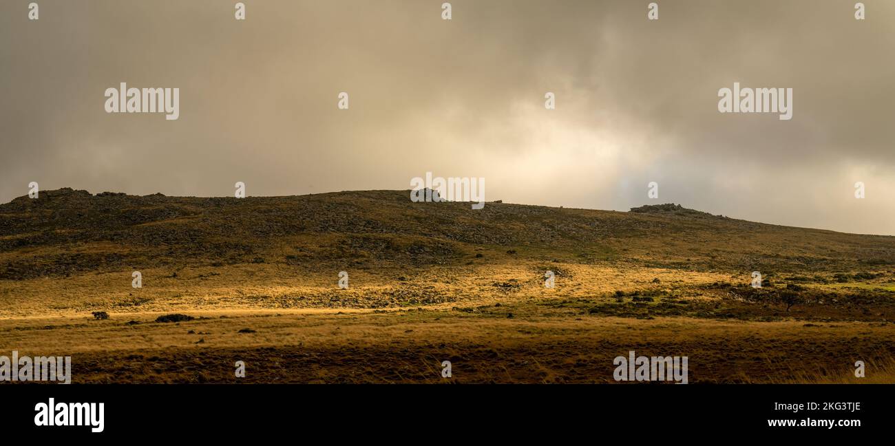 Horizont-Panorama, Dartmoor-Nationalpark-Panorama. November. Stockfoto