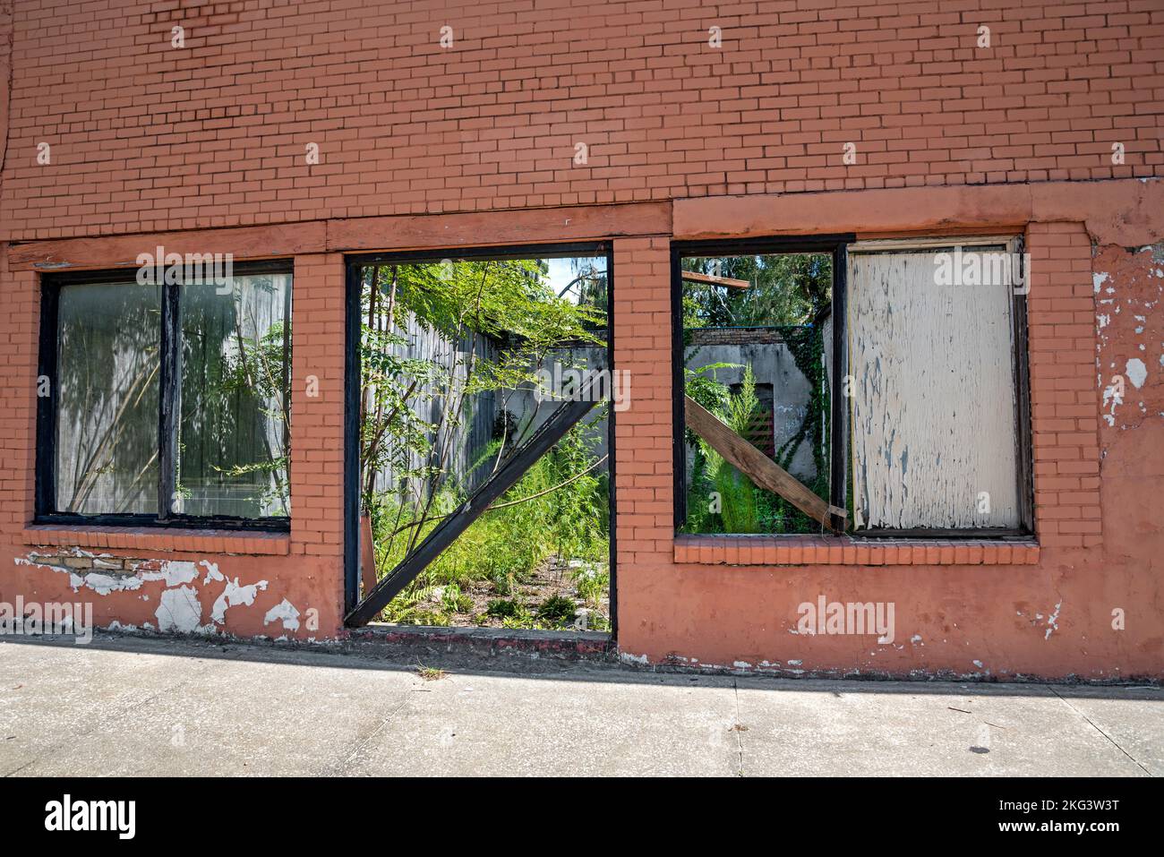 Verlassenes Gebäude in Nord-Zentral-Florida, mit dem Innern überwuchert mit Unkraut und Bäumen. Stockfoto