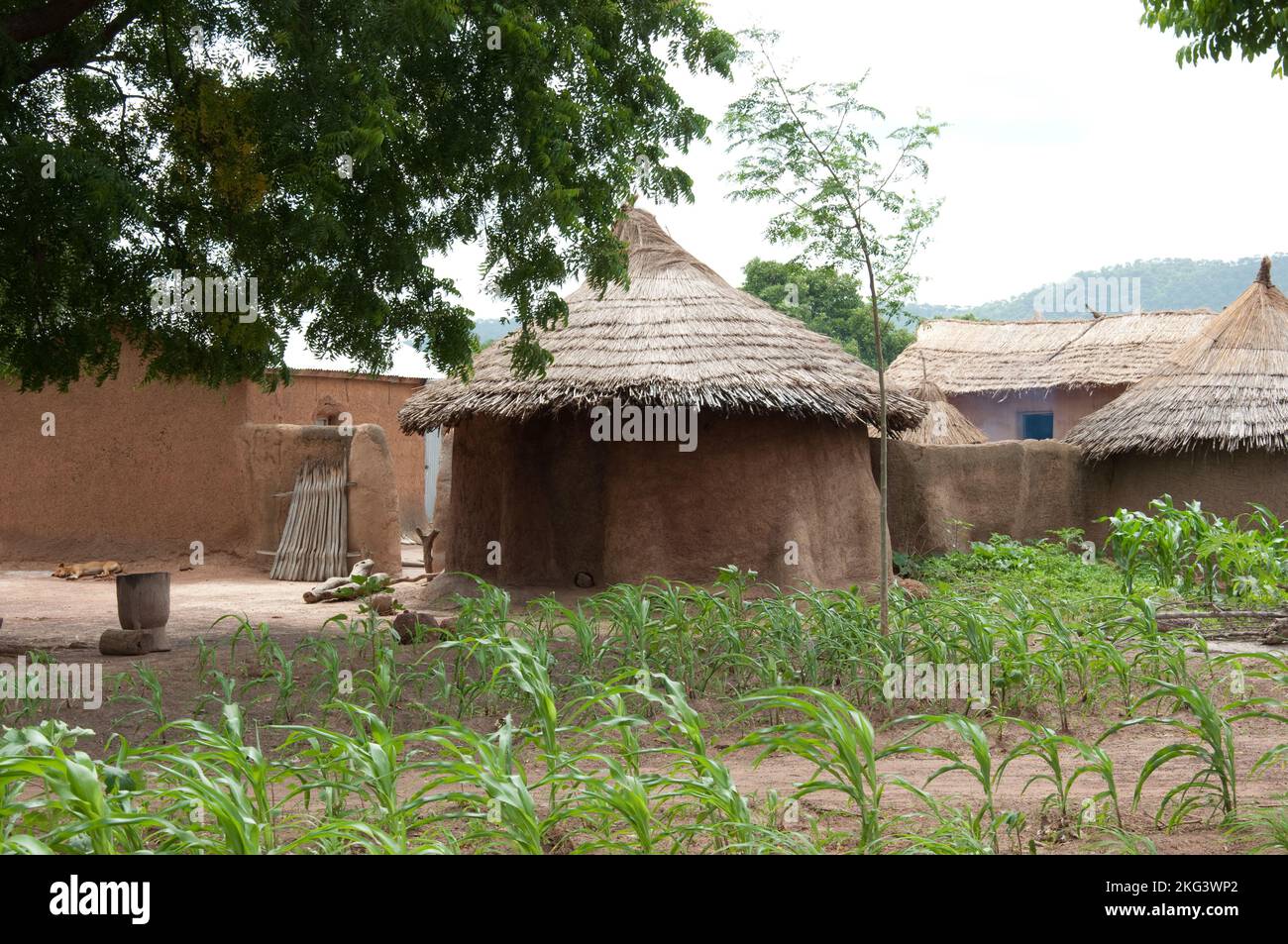 Tata Somba. Die ländliche Atacora, die Provinz Atacora, Benin und Tata somba sind typische Häuser der Region, mit Mauern, die alle Gebäude in einem Anwesen verbinden. Stockfoto