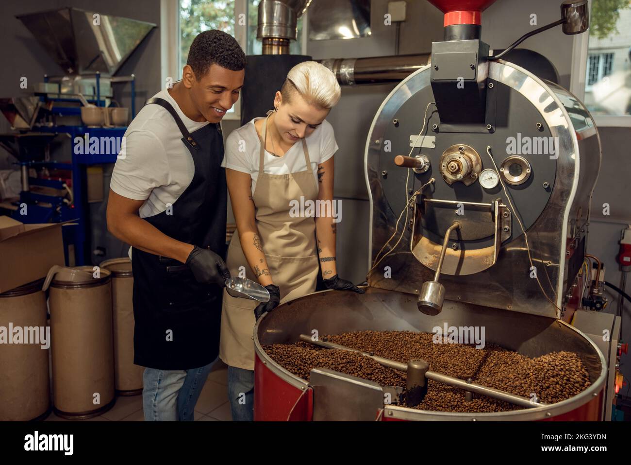 Die Kaffeeröstermeister überwachen den Kaffeerösterungsprozess Stockfoto