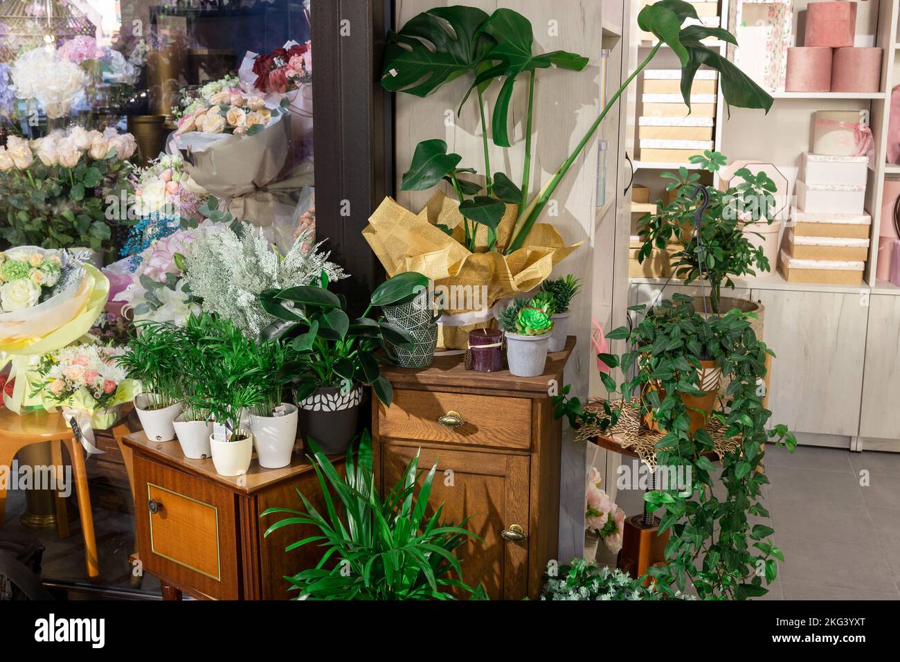 Kleinunternehmen. Inneneinrichtung des Blumenshopfes. Floral Design Studio, Dekorationen und Arrangements und Geschenke. Blumen Lieferservice und Verkauf von Heimpflanzen i Stockfoto