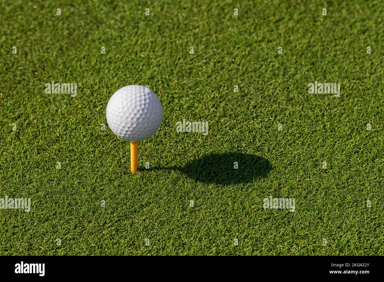 Hoher Abschlag mit weißem Ball auf grünem Gras am sonnigen Tag auf dem Golfplatz platziert Stockfoto