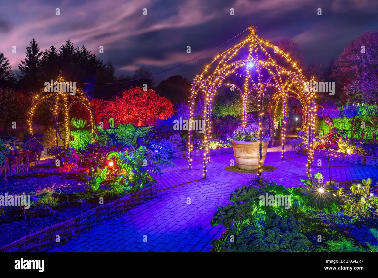 RHS Rosemoor Glow Illuminations. Die herrlichen Bäume, Sträucher, Wasserfiguren und Skulpturen von Rosemoor, die von einem spektakulären, sich verändernden Licht erleuchtet werden Stockfoto