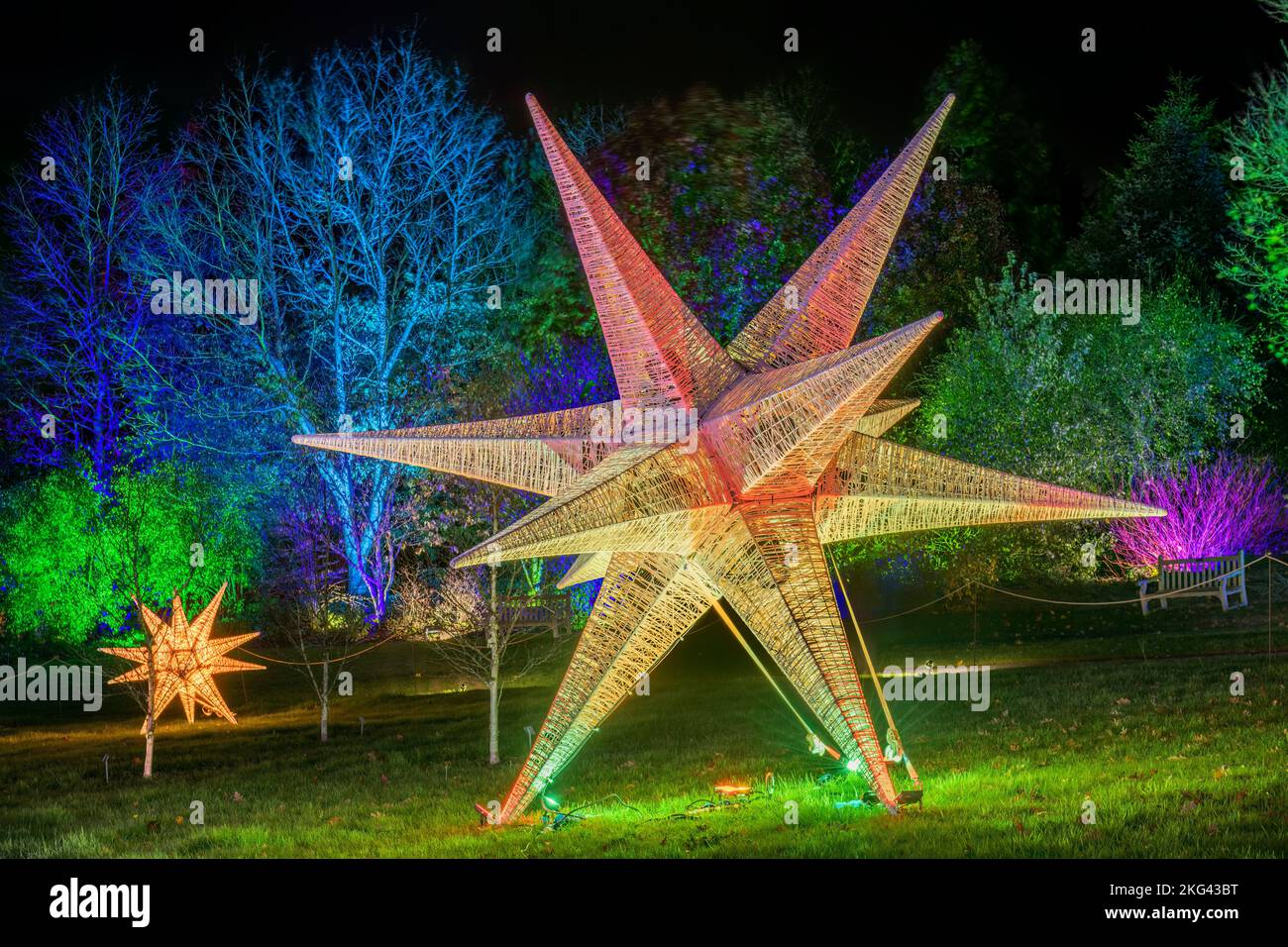 RHS Rosemoor Glow Illuminations. Die herrlichen Bäume, Sträucher, Wasserfiguren und Skulpturen von Rosemoor, die von einem spektakulären, sich verändernden Licht erleuchtet werden Stockfoto