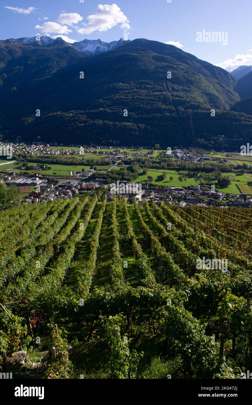 2021. oktober 14 - Europa, Italien, Lombardei, Sondrio, Valtellina, Castel Grumello Stockfoto