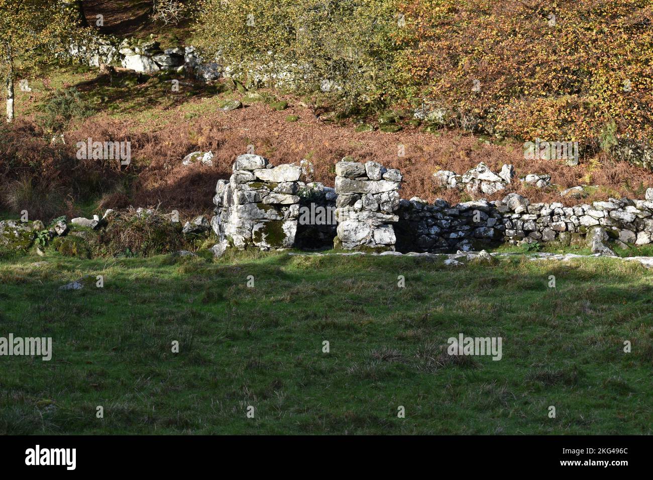 St. CyBi's Heiliger Brunnen, Llyn Peninsular, Nordwales - Ruinen des abgelösten Latrinengebäudes Stockfoto