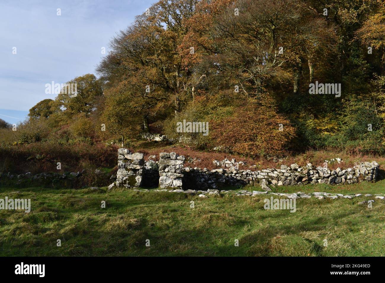 St. CyBi's Heiliger Brunnen, Llyn Peninsular, Nordwales - Ruinen des abgelösten Latrinengebäudes Stockfoto