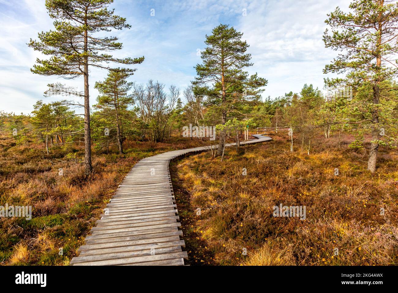 Winter-Entdeckungstour durch die Rhön in der Nähe des Schwarzen Moors - Fladungen - Bayern Stockfoto