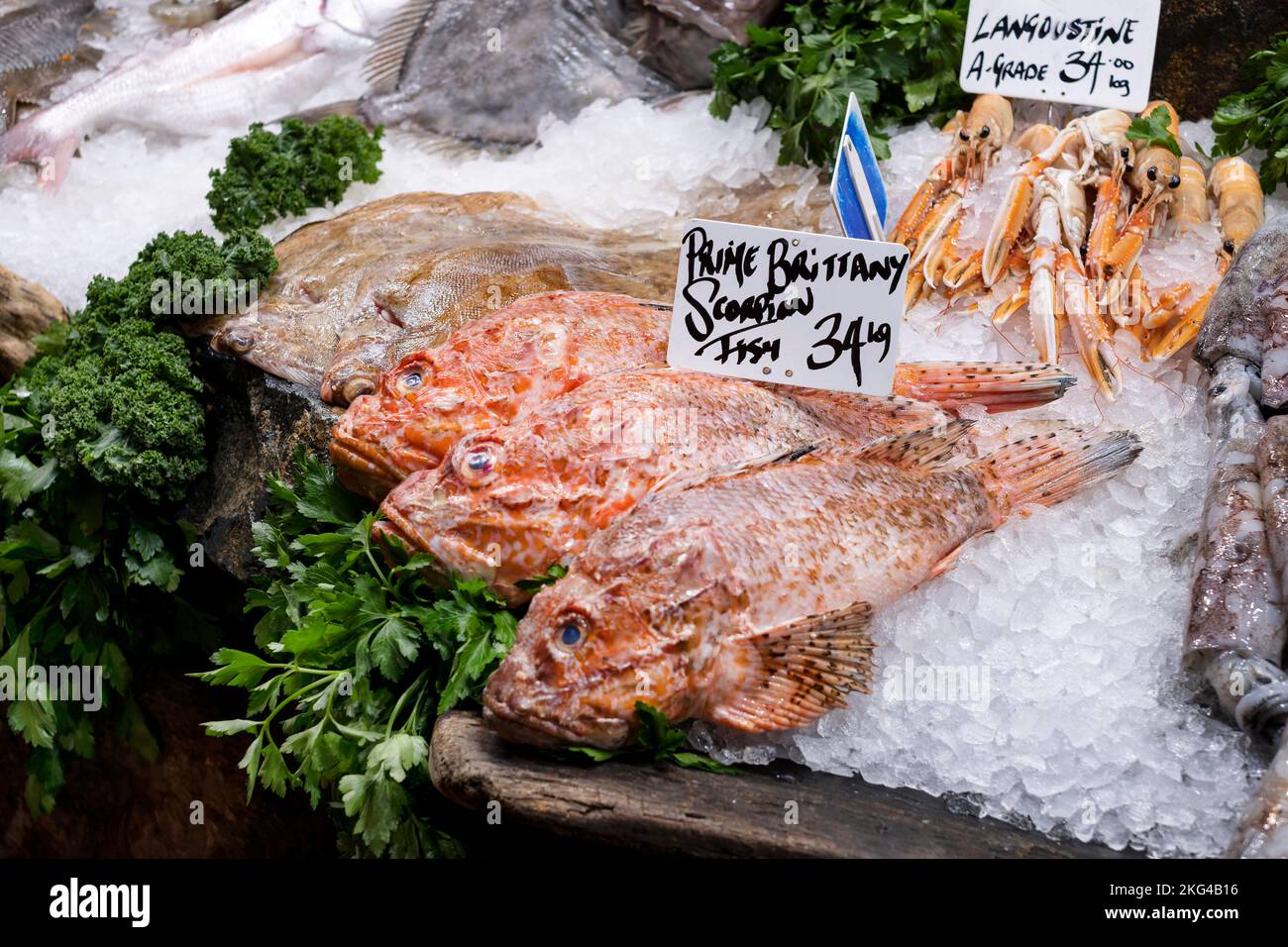 Frisch gebratener Skorpiefisch oder Skorpiefische zum Verkauf an einem Marktstand unter freiem Himmel. Die Gerichte sind preislich und werden auf Eis ausgestellt. Stockfoto