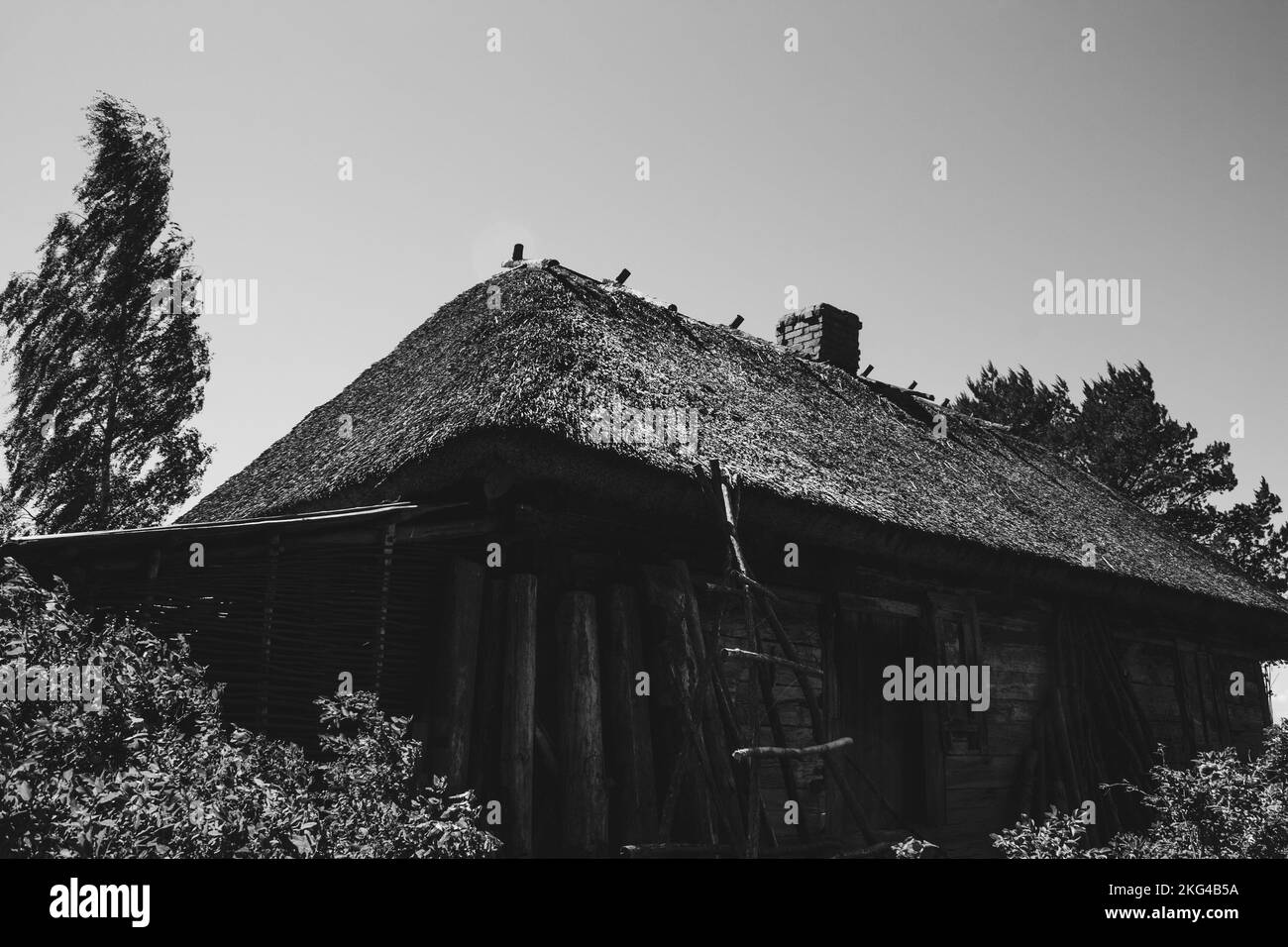 Alte Holzscheune mit Reetdach im Wald unter blauem Himmel. Stockfoto