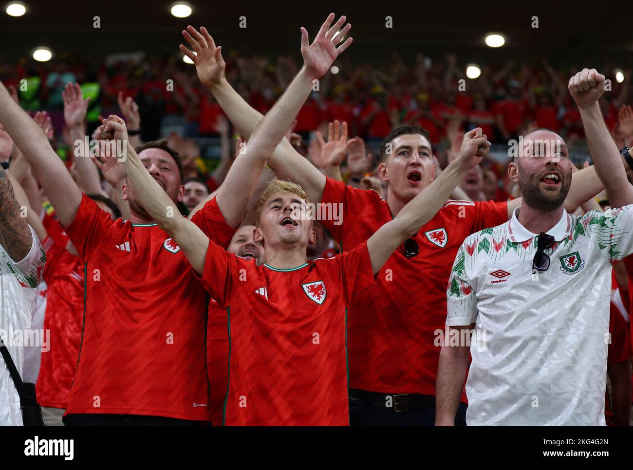 Al Rayyan, Katar. 21.. November 2022. Walisische Fans mit voller Stimme während des Spiels der FIFA-Weltmeisterschaft im Al Rayyan Stadium, Al Rayyan. Bildnachweis sollte lauten: David Klein/Sportimage Kredit: Sportimage/Alamy Live News Stockfoto