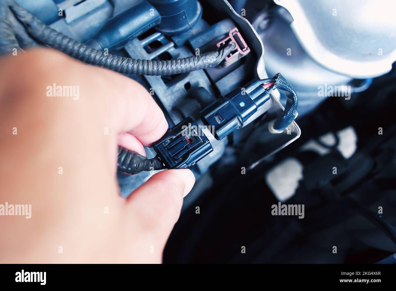 Techniker, der die Lichtmaschine oder den Generatorstecker des Fahrzeugs in den Motorraum einsteckt, Fahrzeugteilekonzept Stockfoto