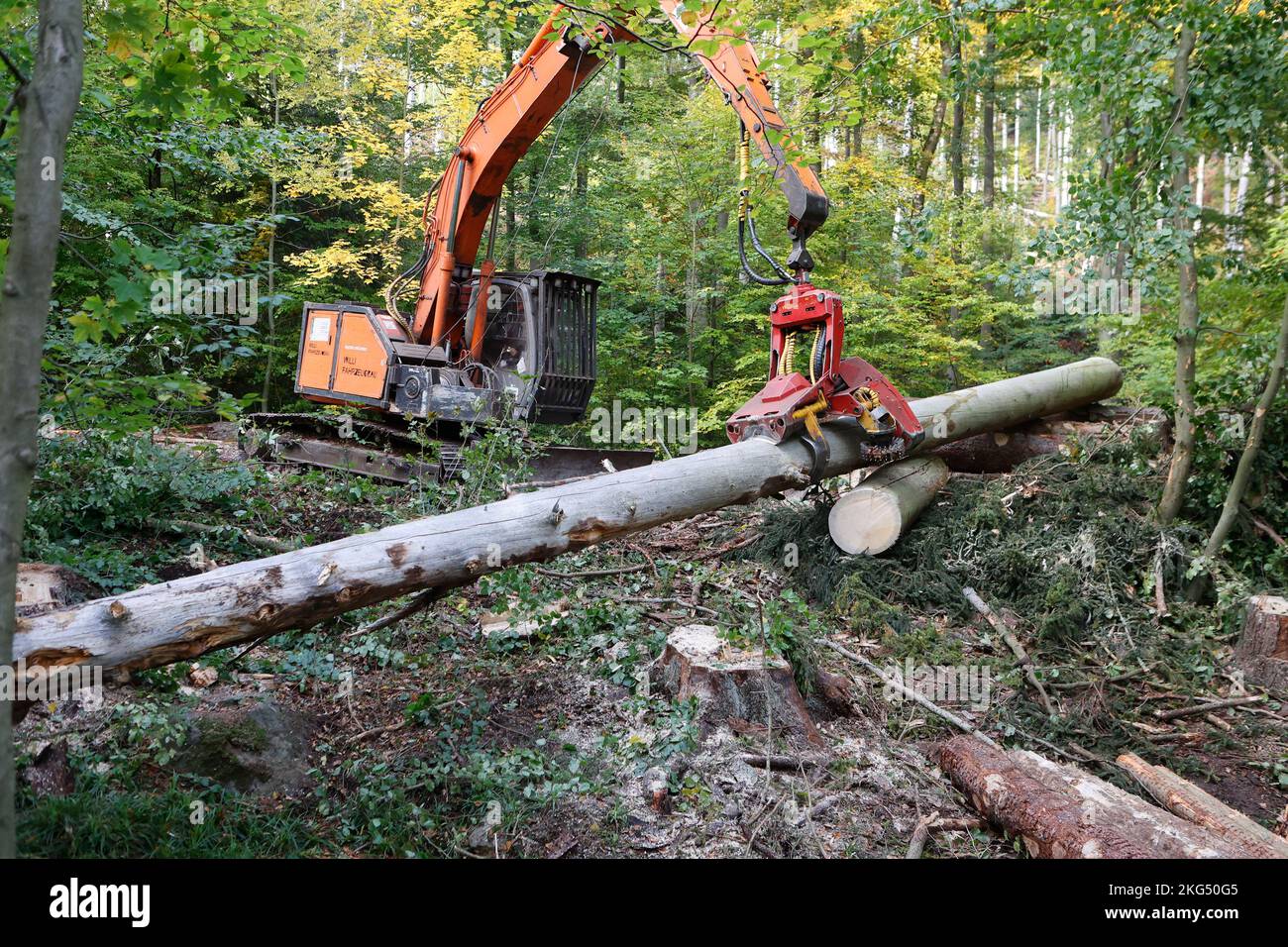 Ilsenburg, Deutschland. 11. Oktober 2022. Gefallene Bäume werden mit schwerem Forstausrüstungen aus dem Ilse-Flussbett gezogen. Deadwood, das im Rahmen der Straßenverkehrssicherheitsmaßnahmen im Bereich der Ilse-Wasserfälle gefällt wurde, wird derzeit aus dem Flussbett der Ilse entfernt, um einen vorbeugenden Hochwasserschutz zu gewährleisten. Die Arbeiten werden voraussichtlich bis November andauern. Das Gebiet des unteren und oberen Ilse-Falls von der Bremer Hütte bis zum Sandtal wird für die Dauer der Arbeiten zum Schutz der Öffentlichkeit vollständig geschlossen. Quelle: Matthias Bein/dpa/Alamy Live News Stockfoto