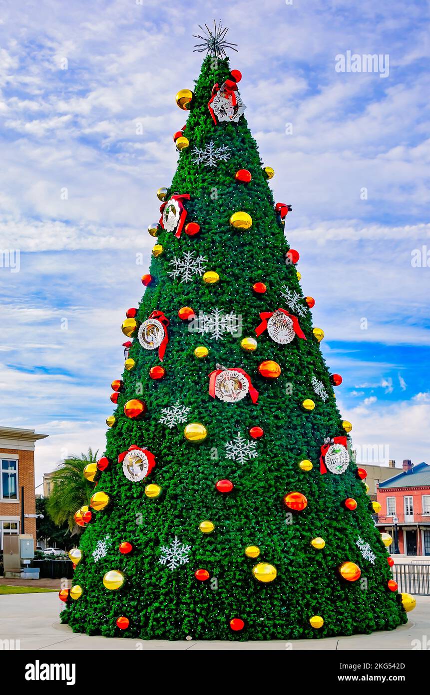 Der Weihnachtsbaum der Stadt wird am 20. November 2022 im Mardi Gras