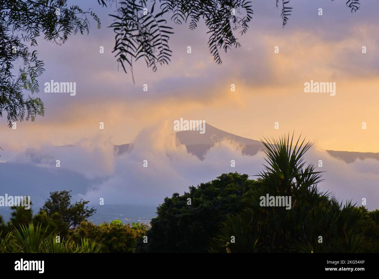 Blick auf den Gipfel des Pico del Teide bei Abendlicht im November. Ein Ring von weißen Wolken rundherum, im Vordergrund das Grün verschiedener Büsche A Stockfoto